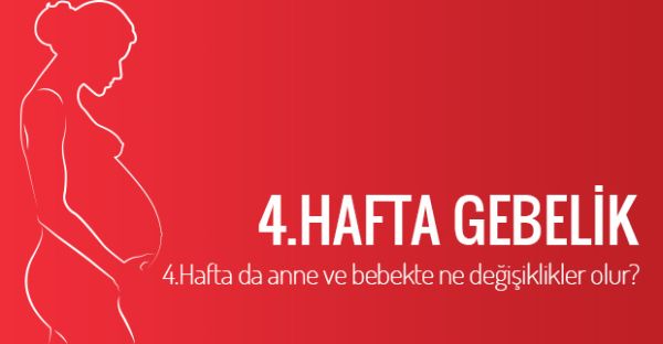 4 haftalık gebelik