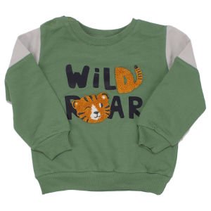 Erkek Bebek Yeşil Gri Wild Roar Kaplan Nakışlı 2'li Takım