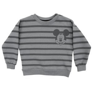 Erkek Çocuk Gri Çizgili Fare Baskılı 2'li Takım