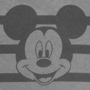 Erkek Çocuk Gri Çizgili Fare Baskılı 2'li Takım