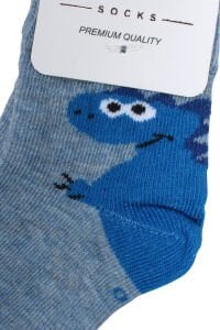 Erkek Bebek Mavi Dino Desenli Çorap 0-12 Ay