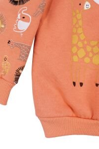 Erkek Bebek Turuncu Cepli Maymun Baskılı 2'li Takım