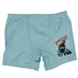 Erkek Çocuk Su Yeşili Baskılı Boxer