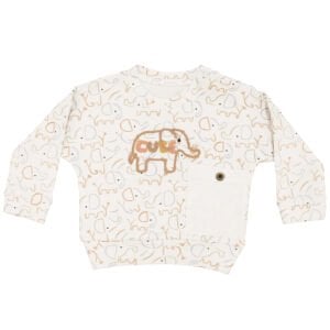 Erkek Bebek Ekru Kahve Filli Desenli 2'li Takım