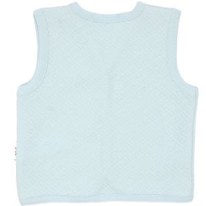 Erkek Bebek Mavi Kapitoneli Penguen Desenli Çıtçıtlı Penye Yelek