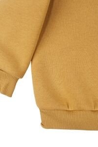 Erkek Bebek Sarı Bereli Hayvanlı Üç İp İkili Takım