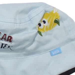 Erkek Çocuk Açık Mavi Canavar Desenli Fötr Şapka 1-3 Yaş