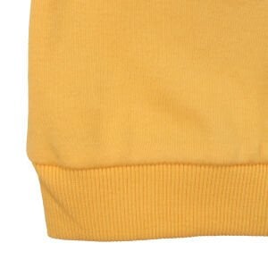 Erkek Çocuk Sarı Laci Papyonlu Kedi Baskılı 2'li Takım