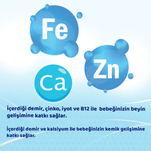 Bebehum Teneke 3 Devam Sütü 400 gr 9-12 Ay
